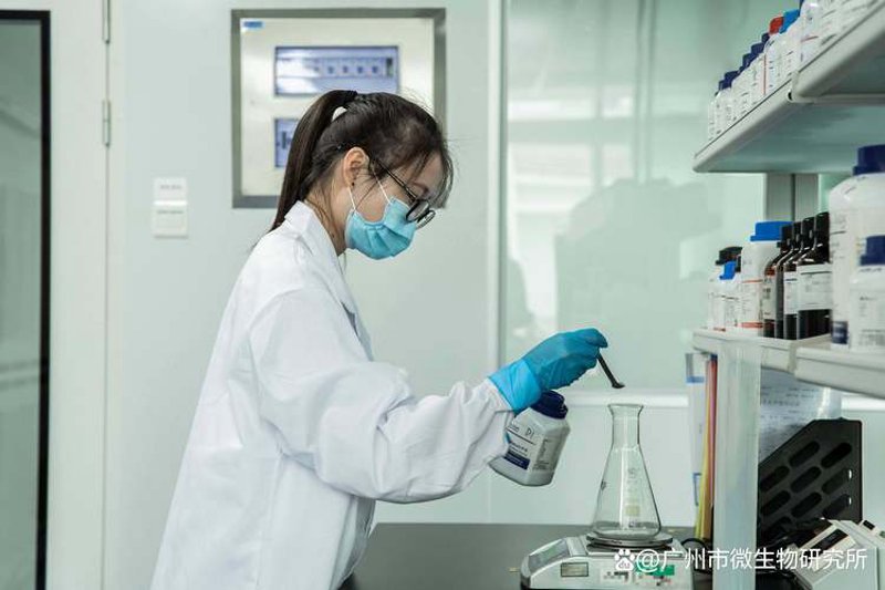 聚焦正品化妆品行业的最新趋势与洞察